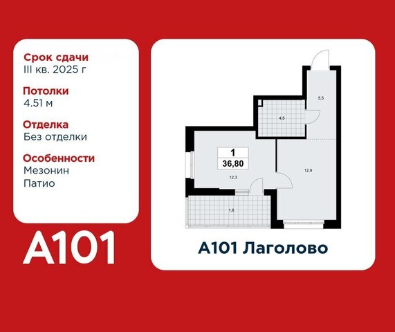 ЖК «А101 Лаголово» 1/2 метро Проспект Ветеранов деревня Лаголово фото
