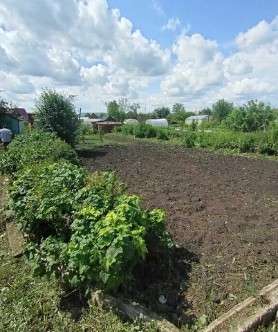 снт Металлург-1 фото