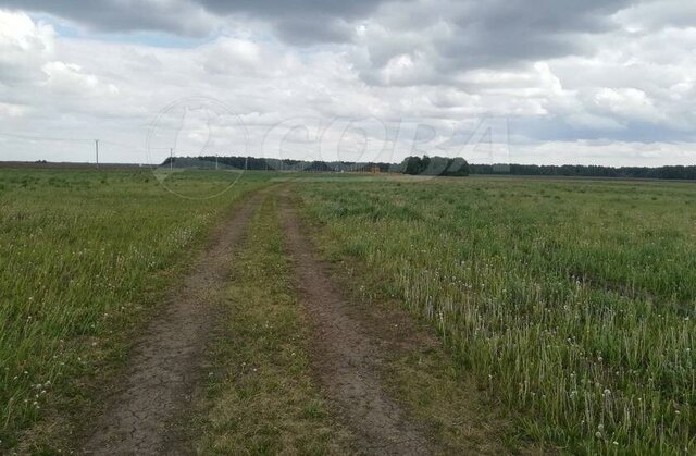 земля р-н Калининский фото
