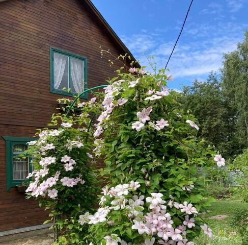 п Дорохово снт Зеленая Долина 14 фото
