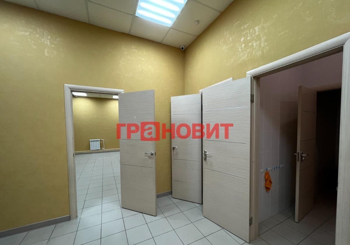 свободного назначения г Новосибирск р-н Центральный Берёзовая роща ул Державина 92/1 фото 2