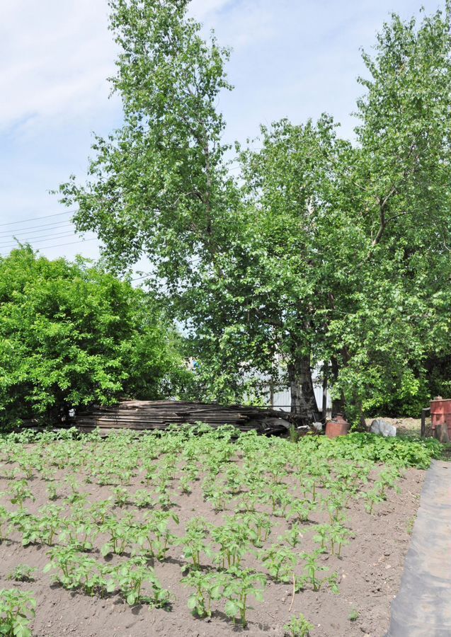 земля г Хабаровск р-н Краснофлотский ул Полины Осипенко 48 фото 1