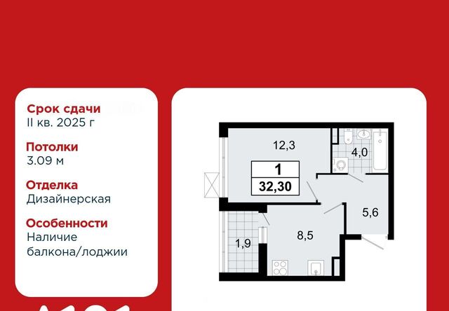 Улица Дыбенко фото