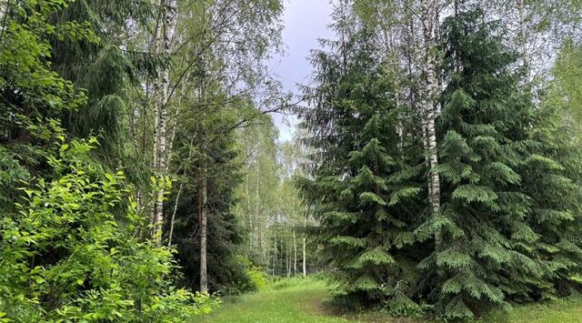 снт ТОНАП Наро-Фоминский городской округ фото