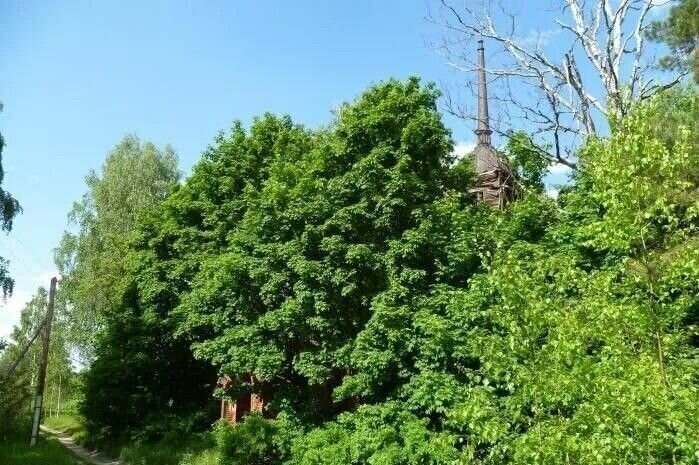 земля г Бор п Память Парижской Коммуны (ППК с/с) д. Межуйки фото 1