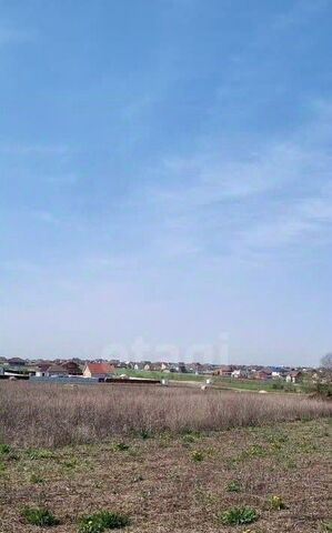 Новосадовское с/пос фото