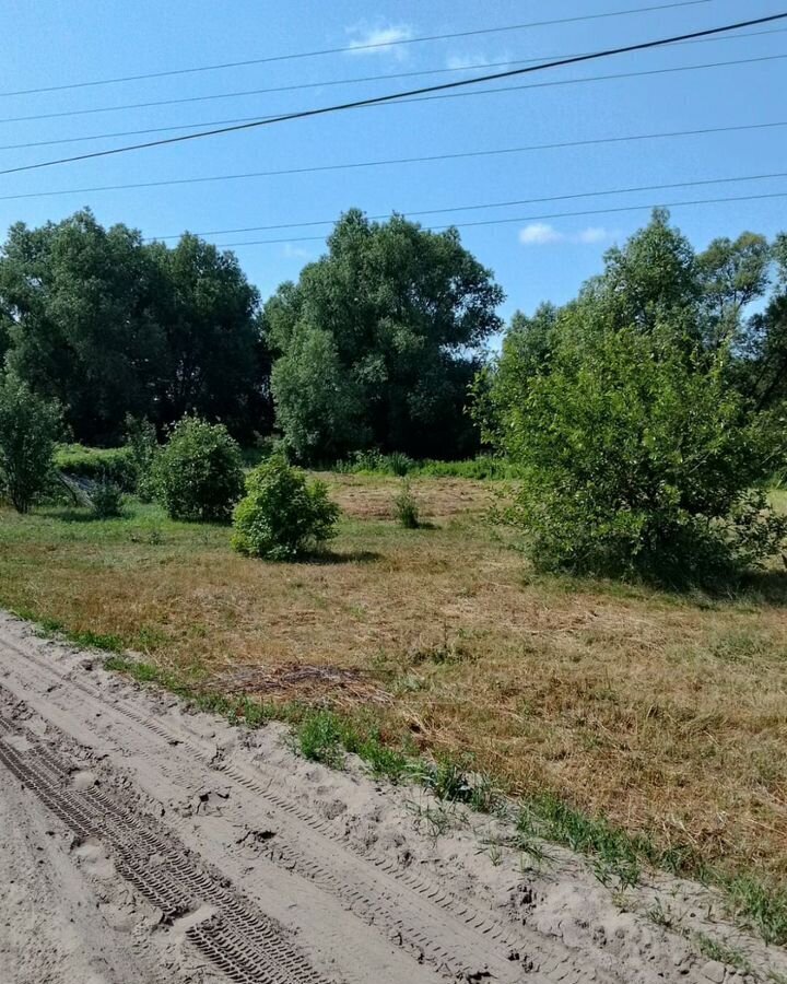 земля р-н Борисоглебский г Борисоглебск ул Неделина 97 фото 10
