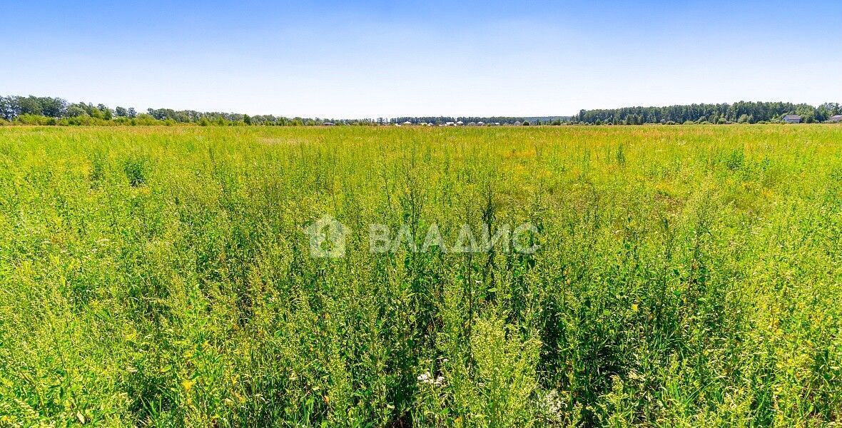 земля городской округ Богородский г Старая Купавна ул Советская 22 км, Горьковское шоссе фото 1