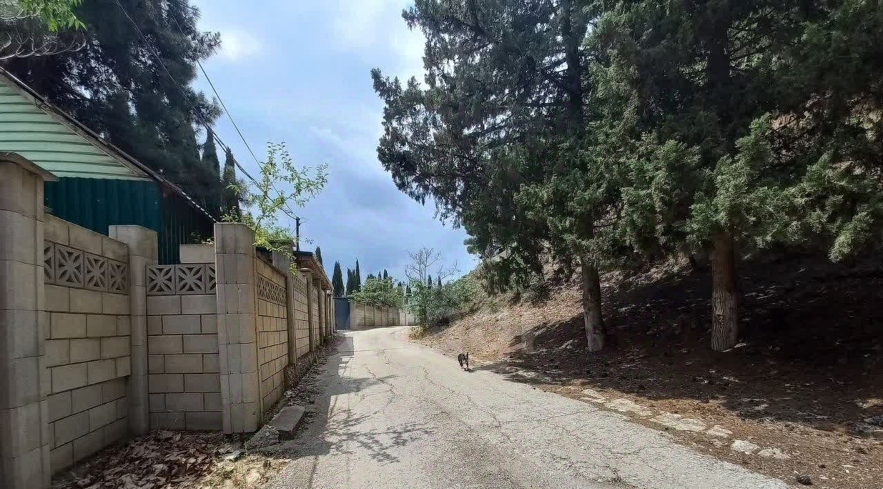 земля г Алушта с Солнечногорское ул Курортная фото 15