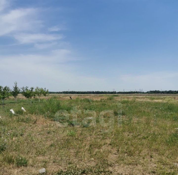 земля г Ростов-на-Дону р-н Кировский фото 5
