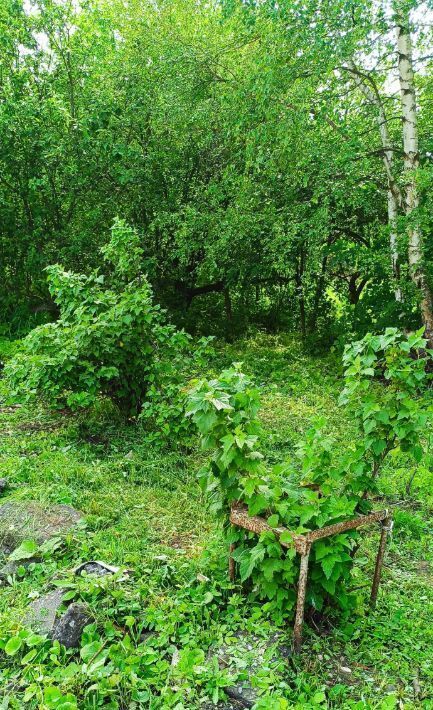 земля р-н Угличский г Углич ул Интернациональная 19 фото 21