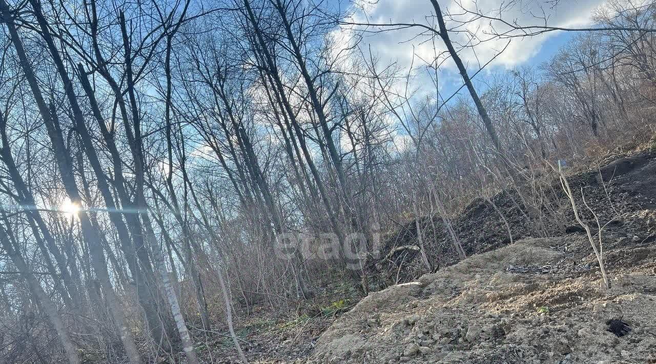 земля г Артем фото 1