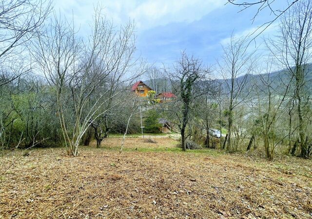 земля снт Ахинтам фото