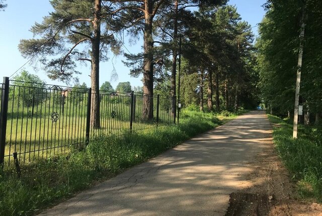 ул Болотная 19 Лесной Городок фото