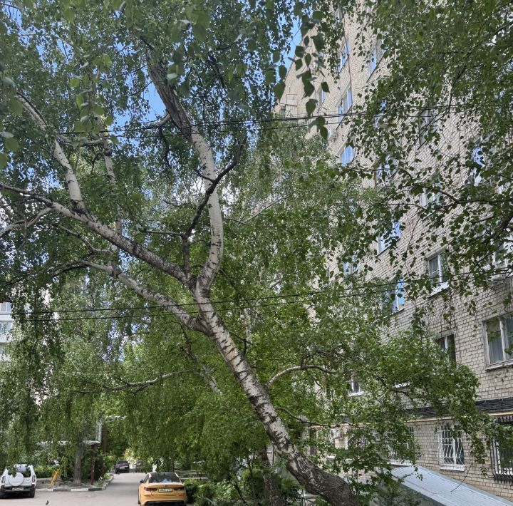 квартира г Саратов р-н Заводской ул. Имени Н. Г. Чернышевского, 15 фото 14