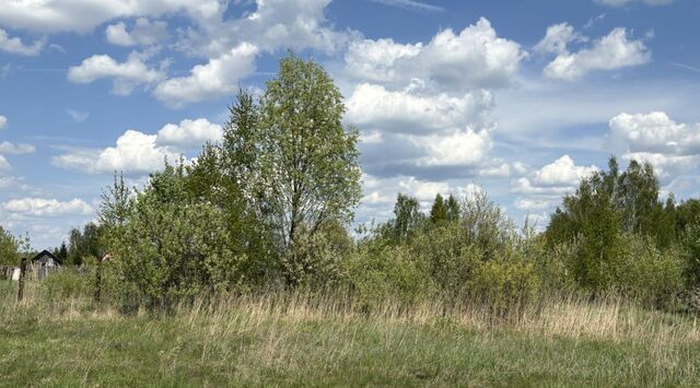 земля д Дровосеки фото