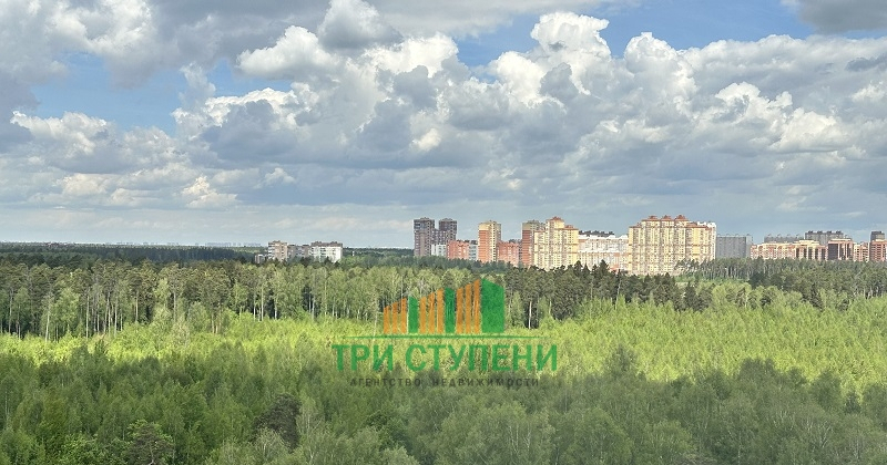 квартира г Балашиха ул Зеленая 36 15Б м-н фото 10