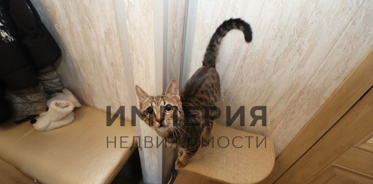 квартира г Магадан ул Набережная реки Магаданки 83 фото 11