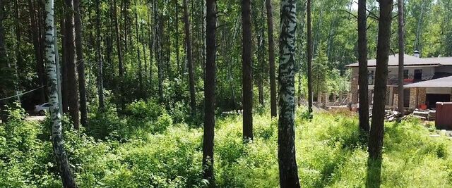 Заельцовская Лесной Берег тер. фото