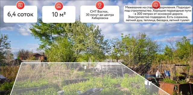 Восток СНТ фото