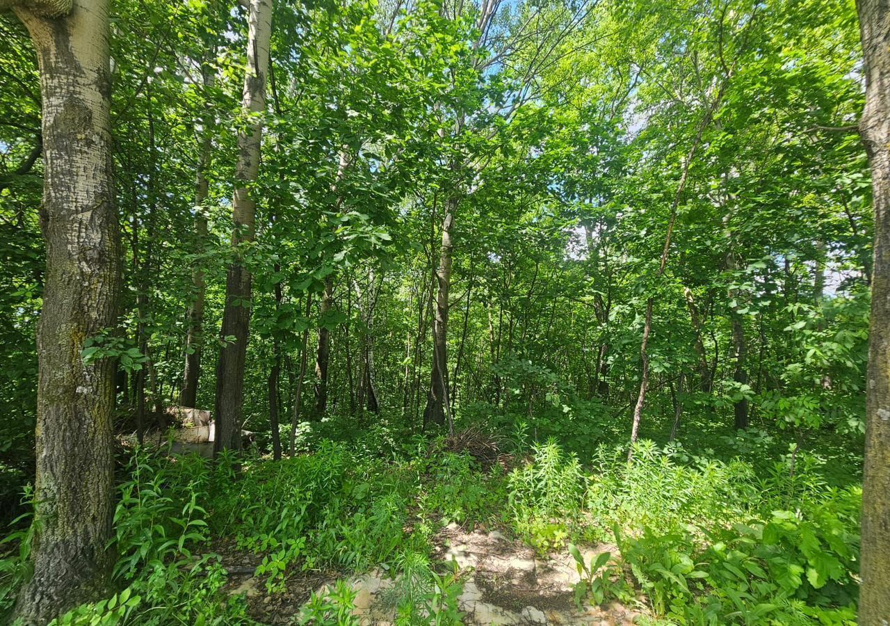 земля г Хабаровск р-н Железнодорожный фото 3