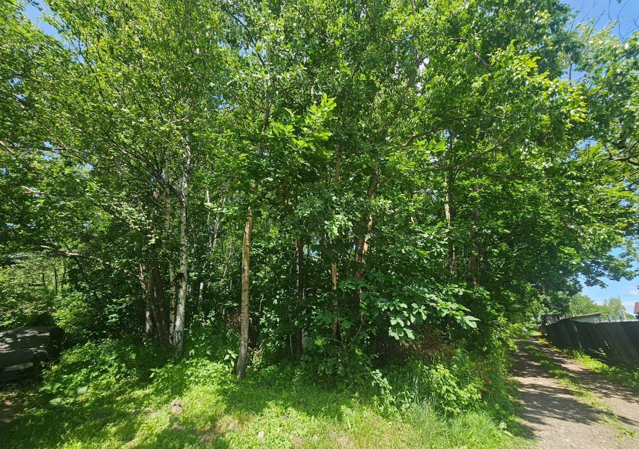 земля г Хабаровск р-н Железнодорожный фото 4