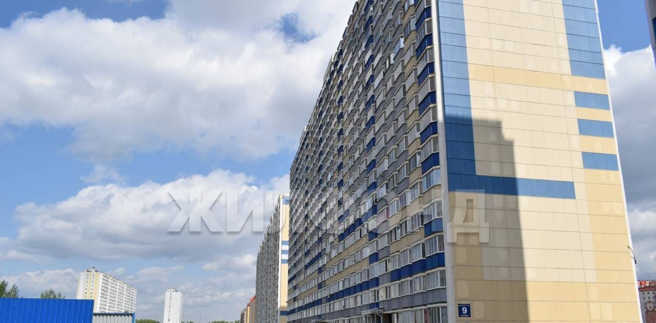 квартира г Новосибирск ул Виктора Уса 9 Площадь Маркса фото 27