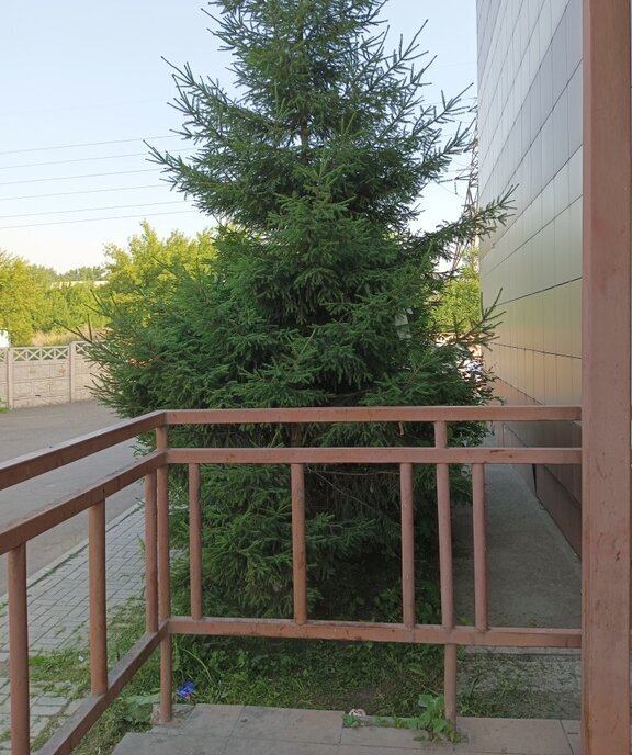 квартира г Красноярск ул Энергетиков 73а фото 2