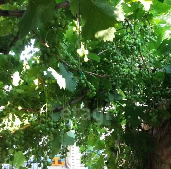 дом р-н Анапский г Анапа фото 17