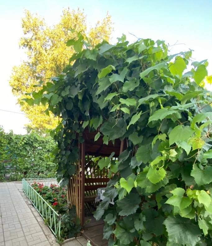 комната г Яровое ул Кулундинская 36 фото 14