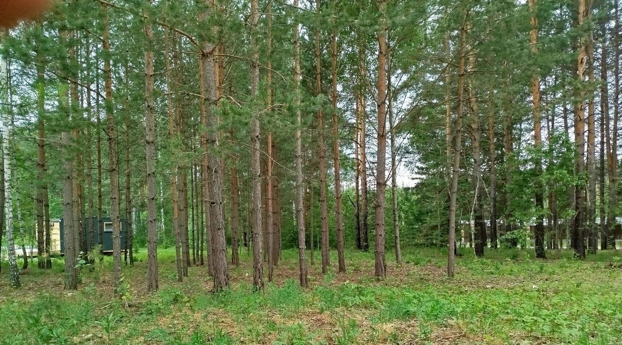 земля р-н Сысертский г Сысерть сад Бытовик КС фото 1