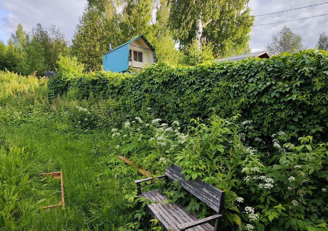 земля г Пермь р-н Орджоникидзевский 53, СНТ № 39 фото 2