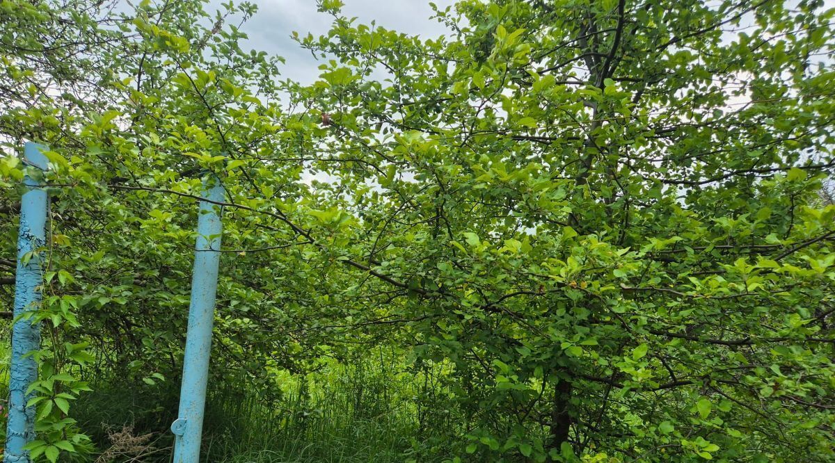 дом городской округ Истра г Дедовск снт Мирный-1 Нахабино, 10 фото 8
