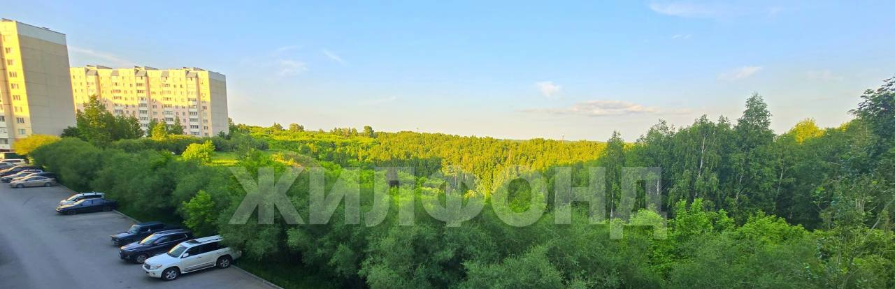 квартира г Новосибирск Плющихинский 46/1 Татьяны Снежиной фото 15