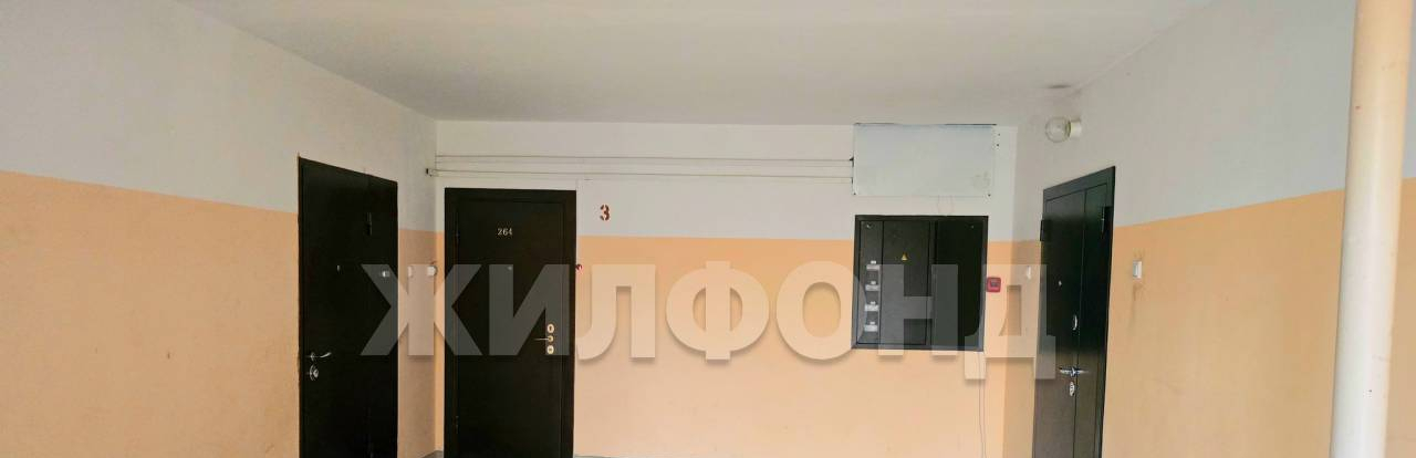 квартира г Новосибирск Плющихинский 46/1 Татьяны Снежиной фото 16