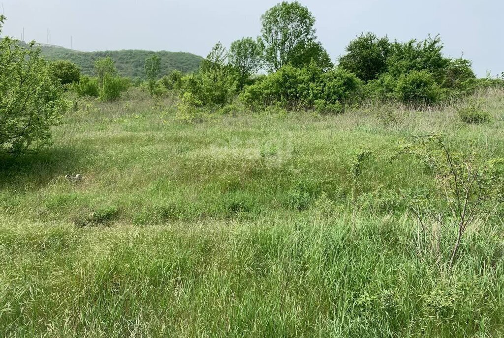 земля г Новороссийск с Борисовка фото 1