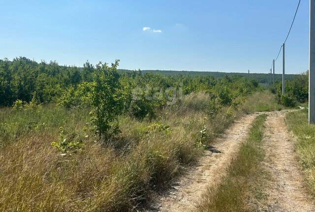 х Семигорский фото