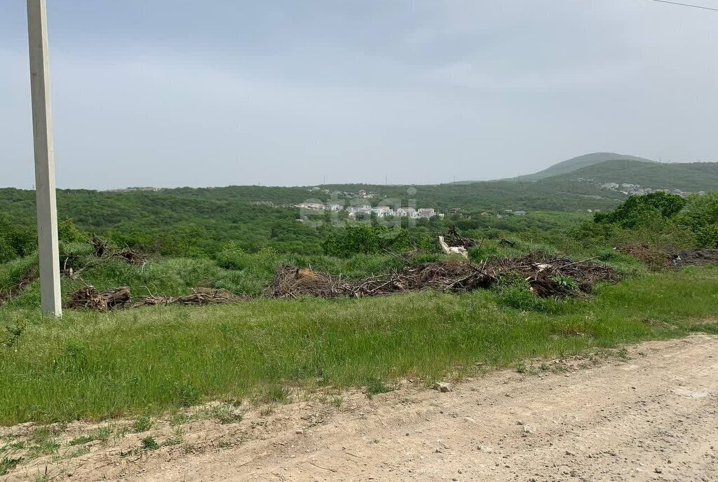 земля г Новороссийск с Борисовка фото 3