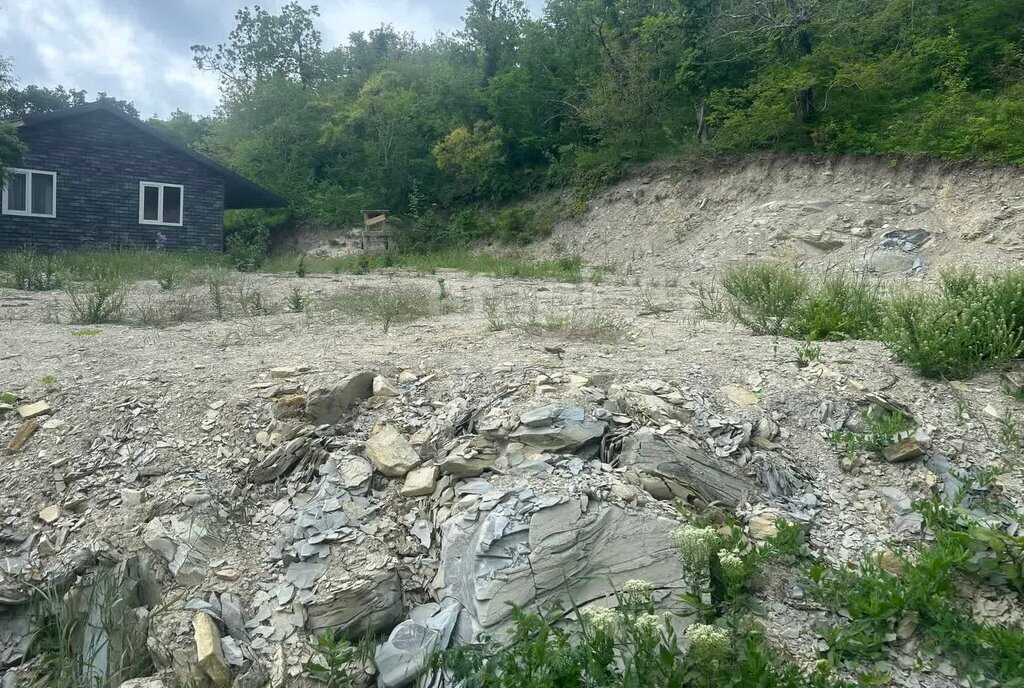 земля г Новороссийск с Васильевка фото 3