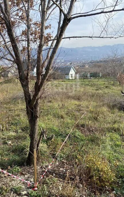 земля г Новороссийск с Борисовка фото 11