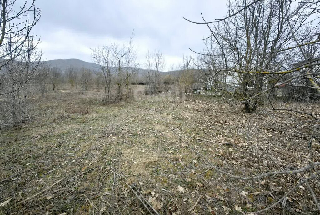 земля г Новороссийск с Борисовка фото 12