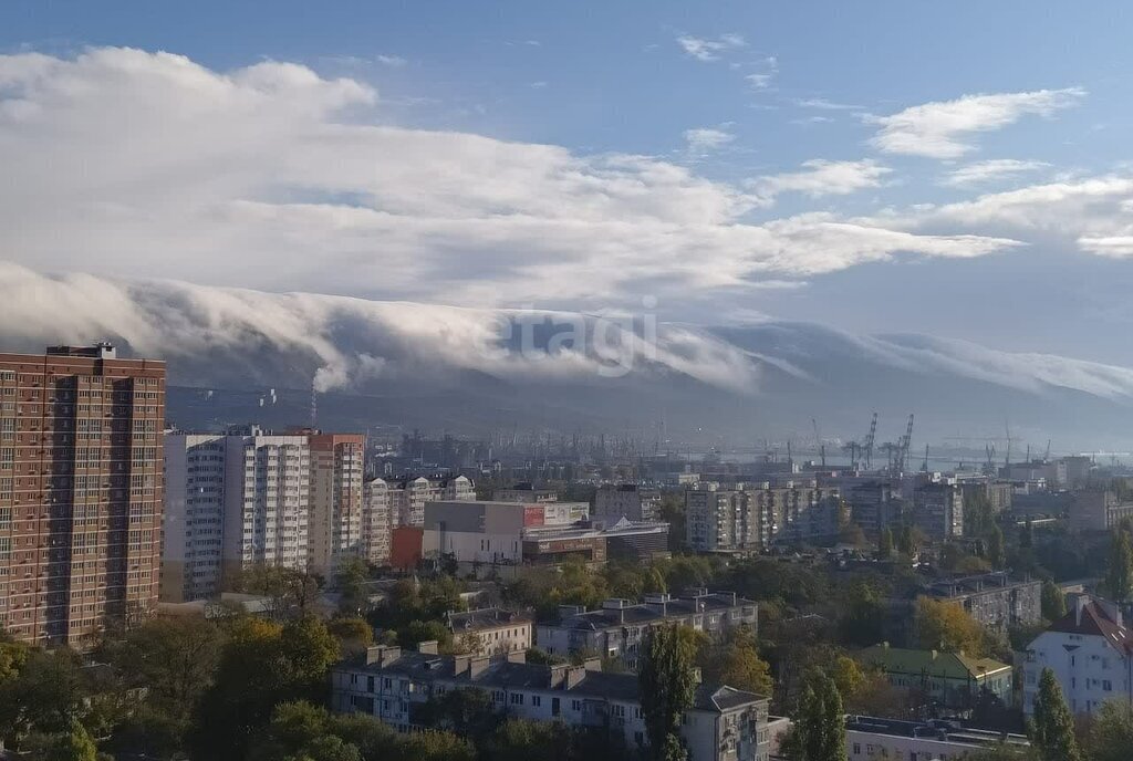 квартира г Новороссийск ул Видова 121ак/1 фото 23