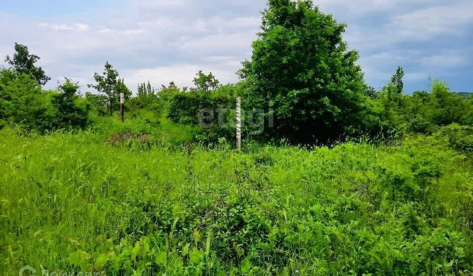 земля г Новороссийск с Южная Озереевка фото 9