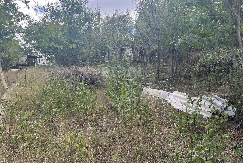 земля г Новороссийск ул Гайдара фото 5