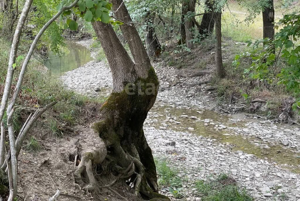 земля г Новороссийск с Васильевка снт Лаванда фото 6