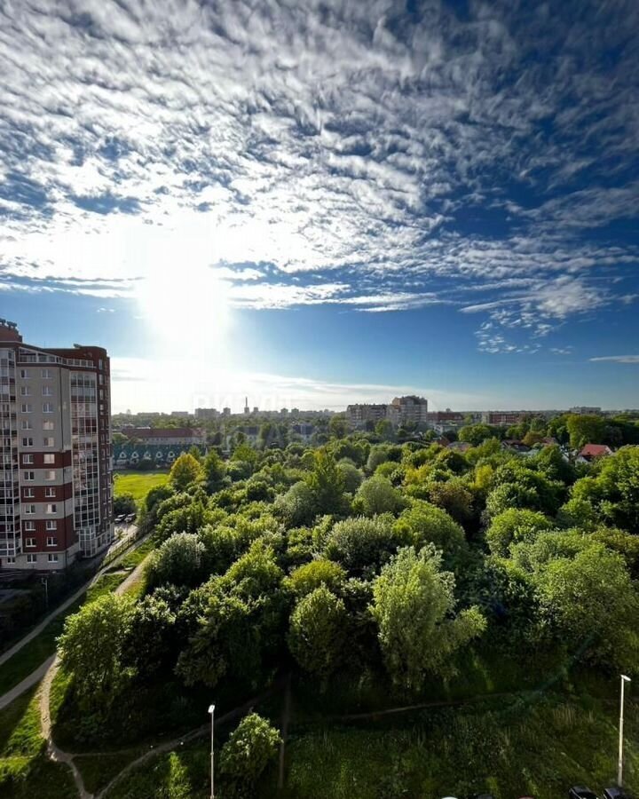 квартира г Калининград р-н Ленинградский пер Майский 1 фото 22