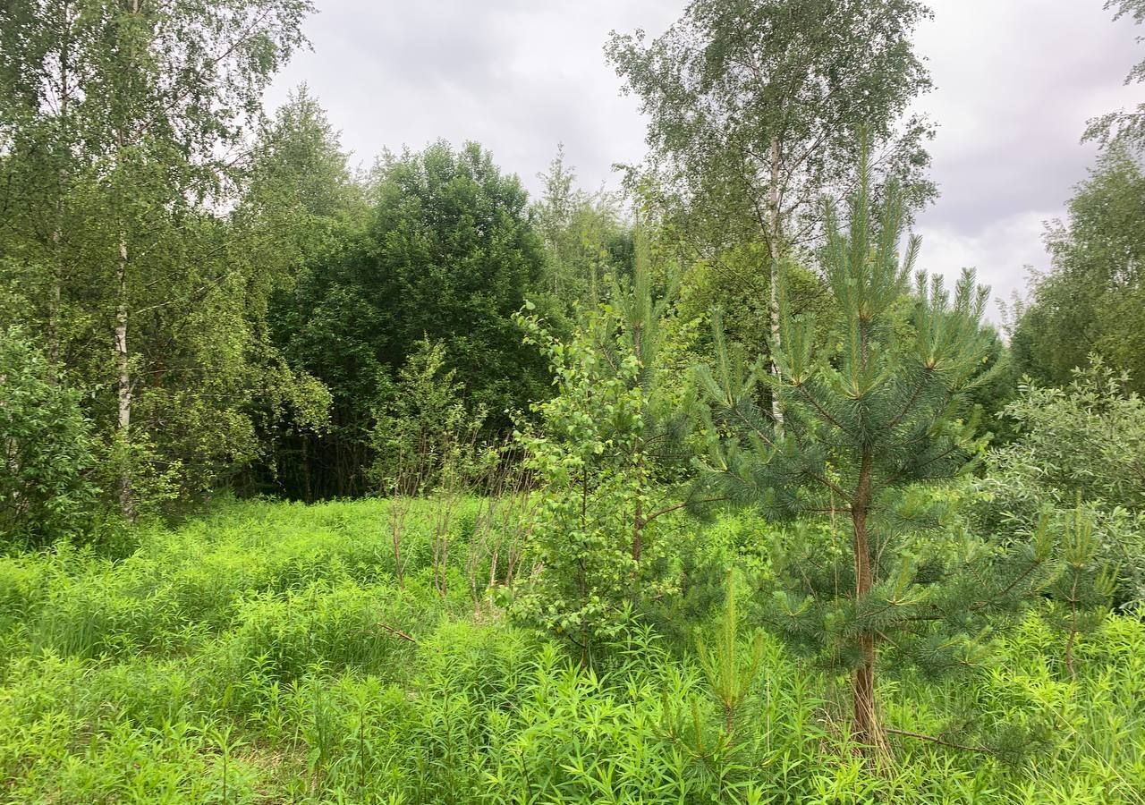 земля городской округ Богородский г Ногинск снт Расцвет 37 км, 98, Горьковское шоссе фото 15