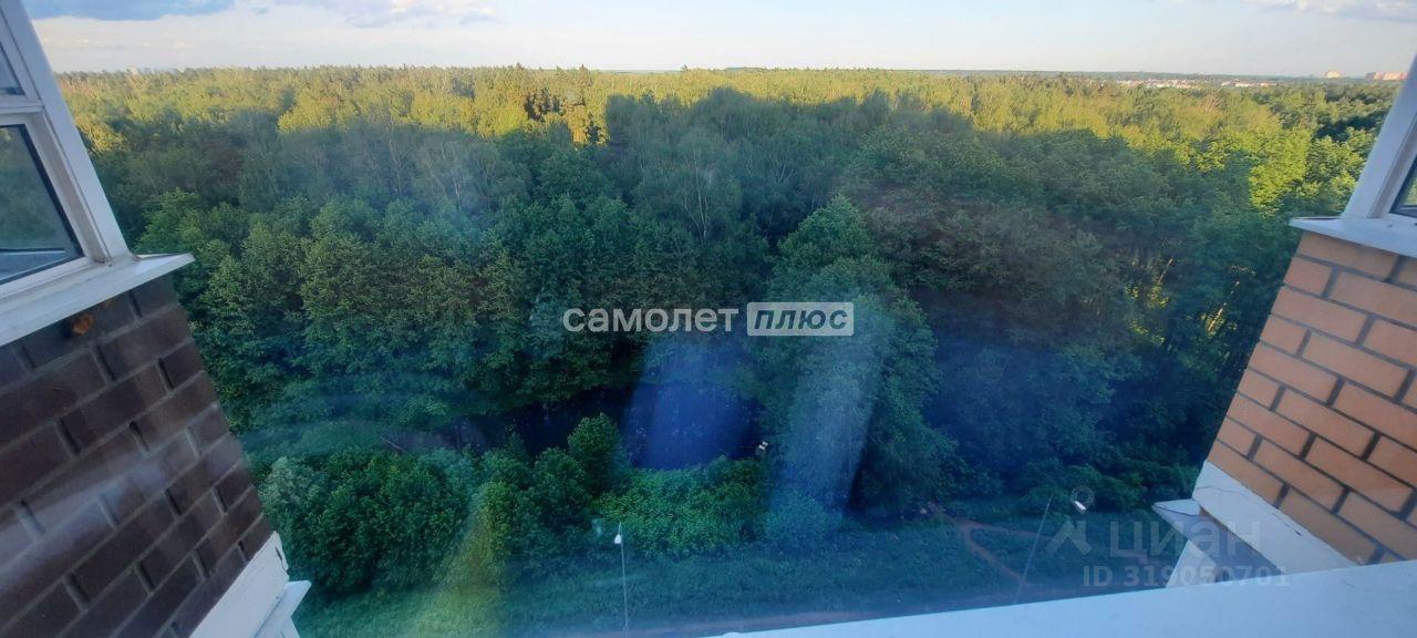 квартира г Балашиха мкр Новое Павлино ул Бояринова 24 Новое Павлино фото 21
