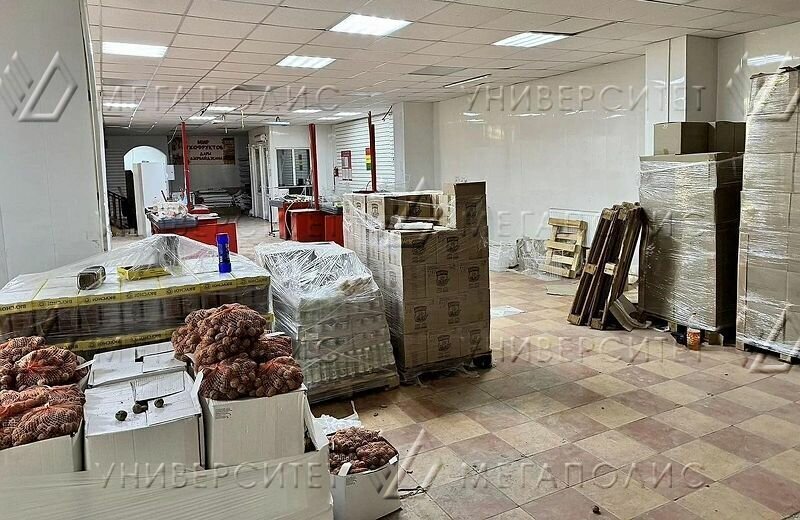 производственные, складские городской округ Истра г Дедовск ул Фабричная ветка 1с/6 Нахабино фото 9