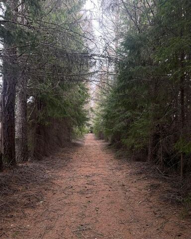 земля п Березовка Кондопожское городское поселение, Кондопога фото